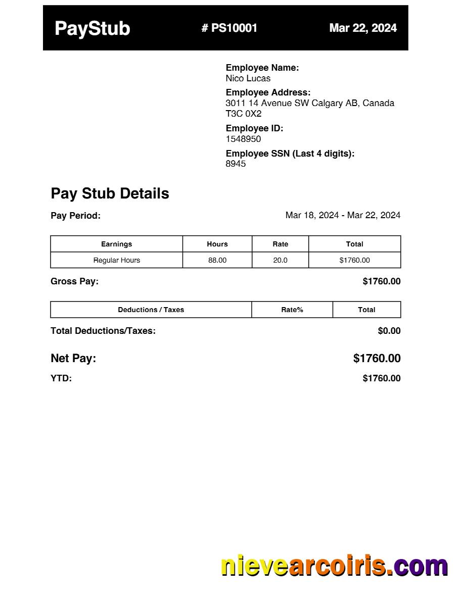 earnings pay stub
